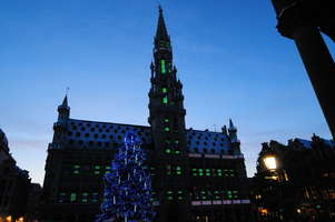 stadhuis-grun