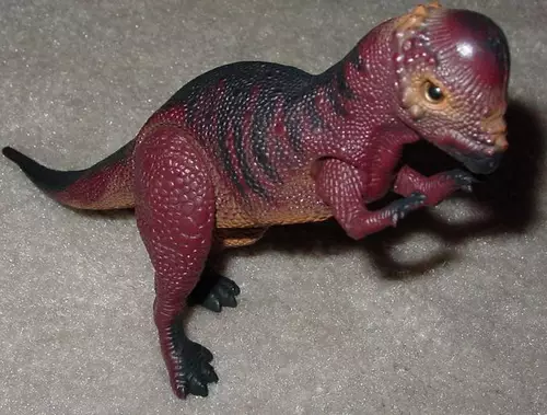 pachycephalosaurus1