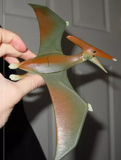 pteranodon