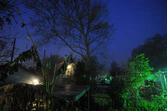 morgen-nebel