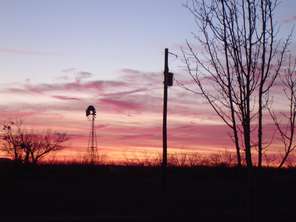 windmill-rise