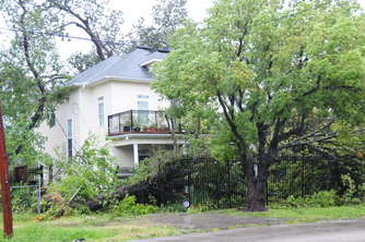 tree-fence-yard