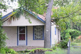 tree-house-bits-of-greens