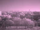 galleria-skyline