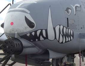 a10-arrrr