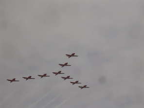 snowbirds1