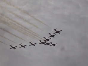 snowbirds2