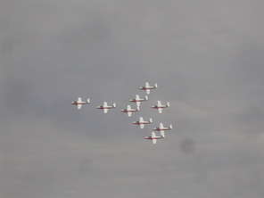 snowbirds3