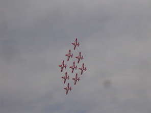 snowbirds4