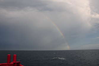bug-regenbogen