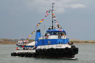 ddlm-11