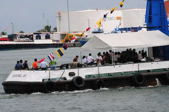 ddlm-12