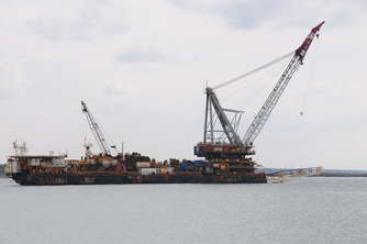 dlb-801