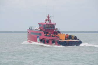 mantarraya2
