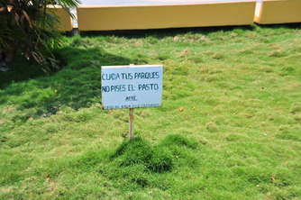 no-pises