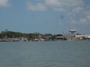 shrimp-boats