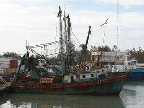 tabasco-fischerboot