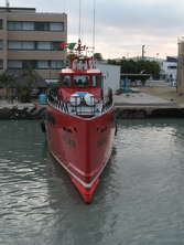 tiburon