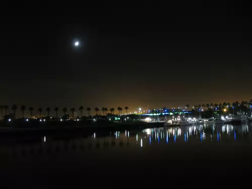 longbeach-aquarium