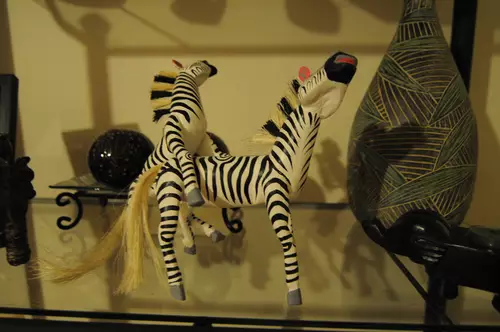 expressive-zebras
